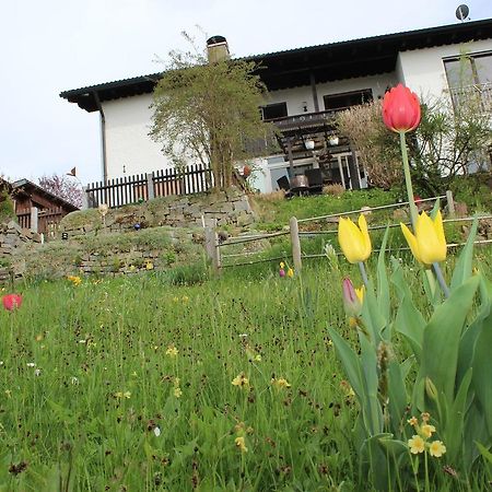 Haus Koblizek Apartment Waldkirchen Exterior foto