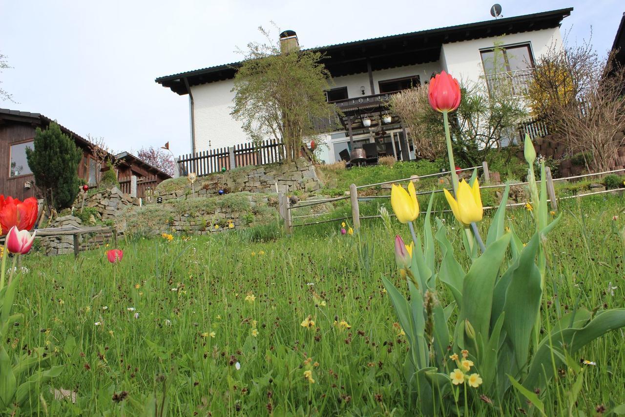 Haus Koblizek Apartment Waldkirchen Exterior foto
