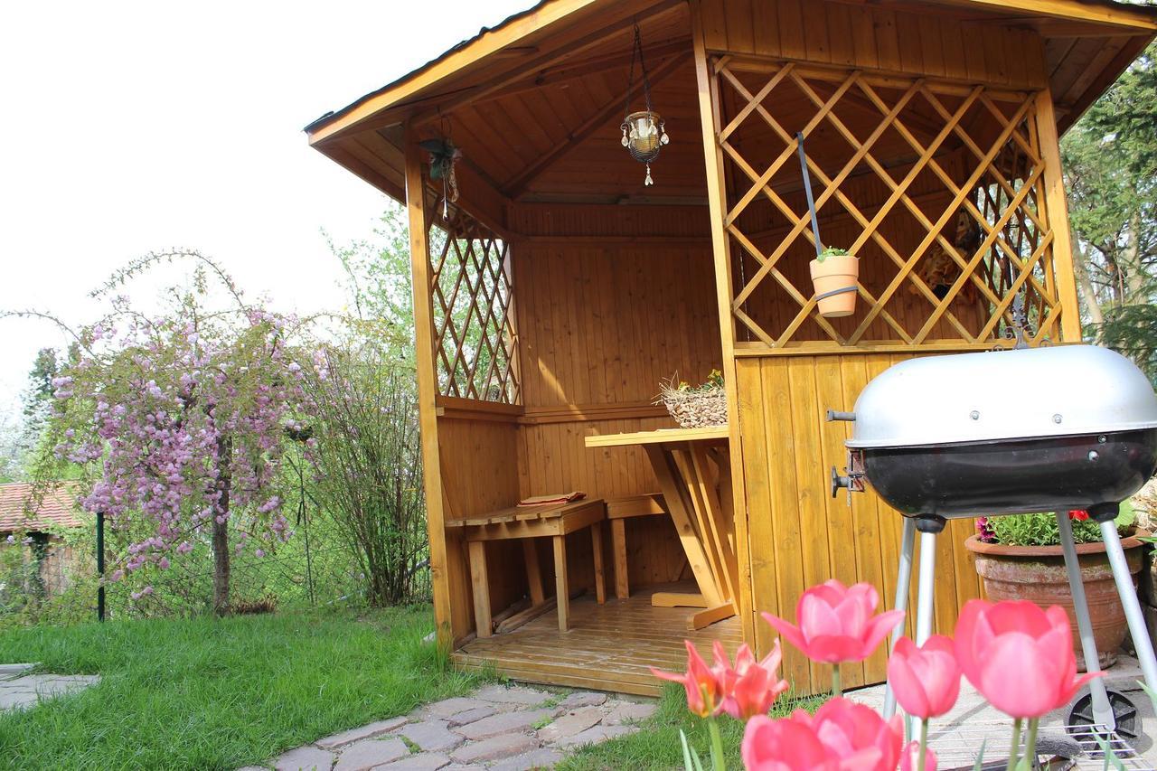 Haus Koblizek Apartment Waldkirchen Exterior foto